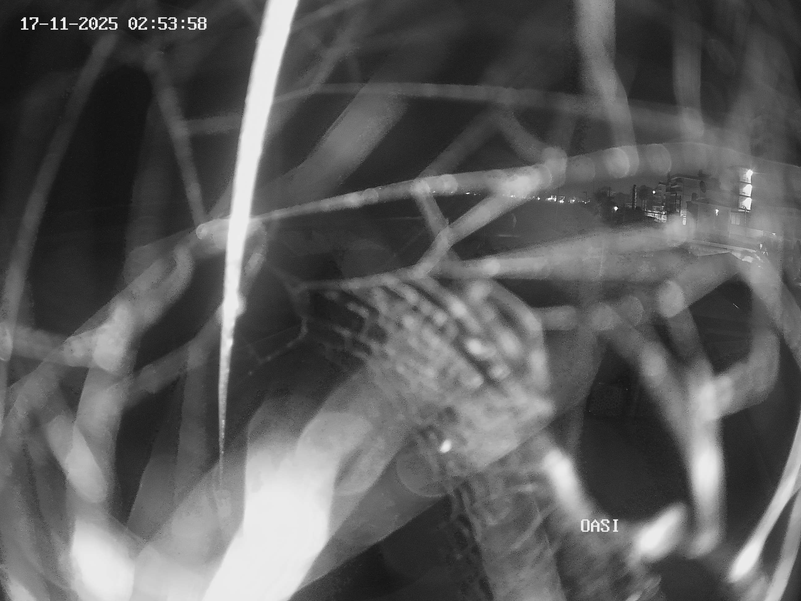 Webcam Altamarea, animazione turistica a Cattolica