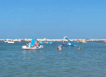 I piccoli cittadini dell’Altamarea