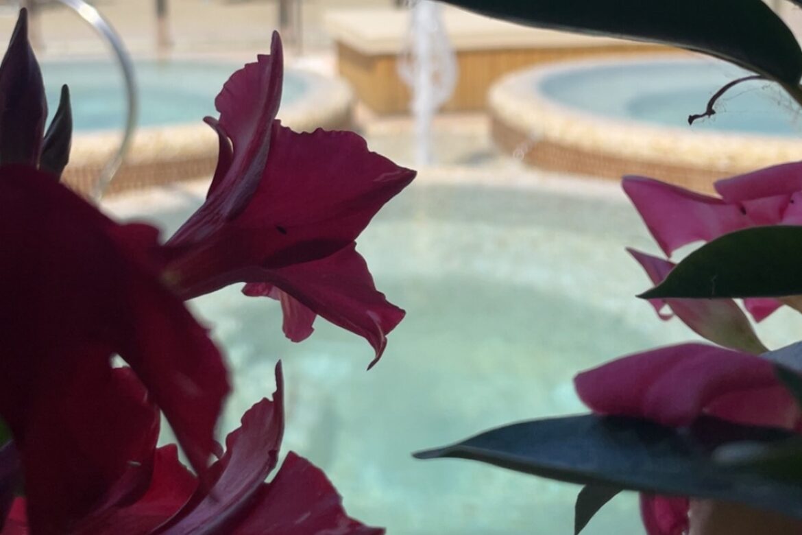 Vivere al ritmo dell’Altamarea