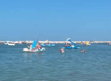 Altamarea’s little citizens