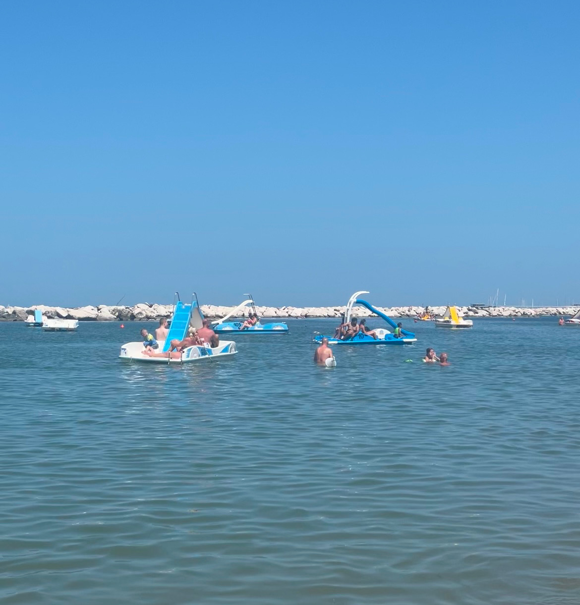 Altamarea’s little citizens