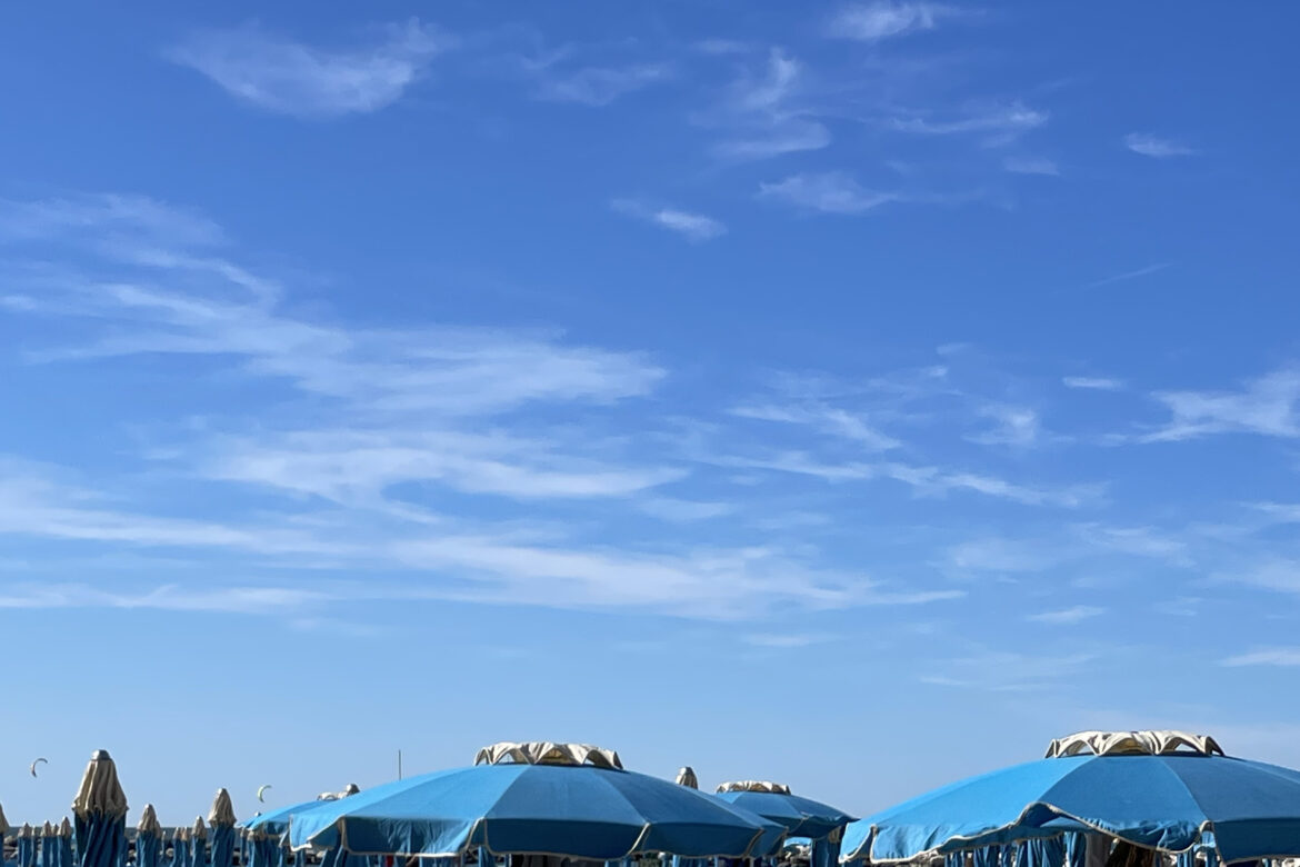 The Sounds of Altamarea: A Sweet Summer Symphony