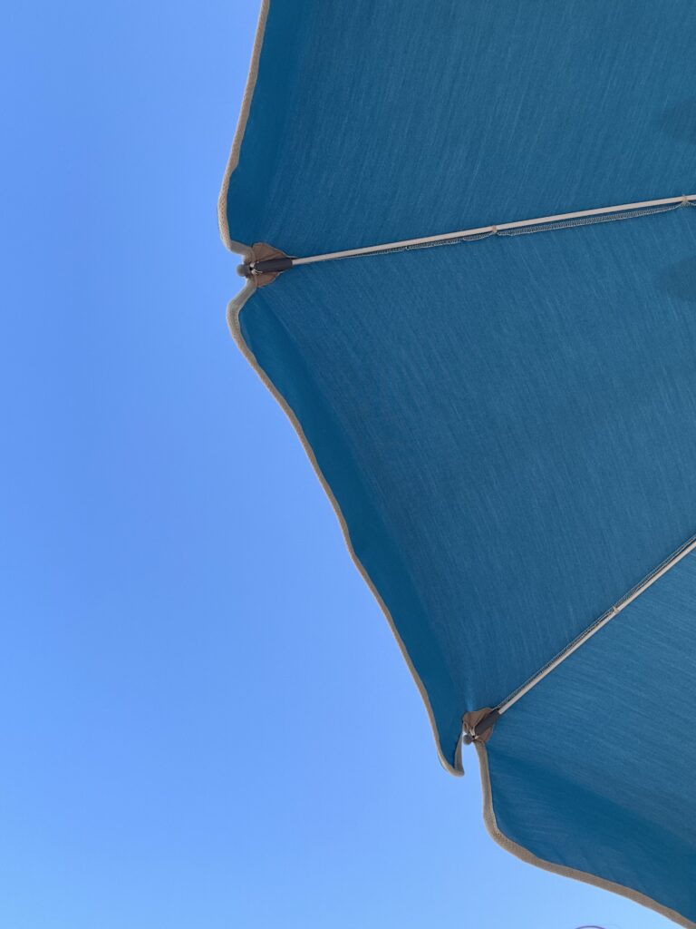 Das Blau, von dem du im Winter tr&auml;umst